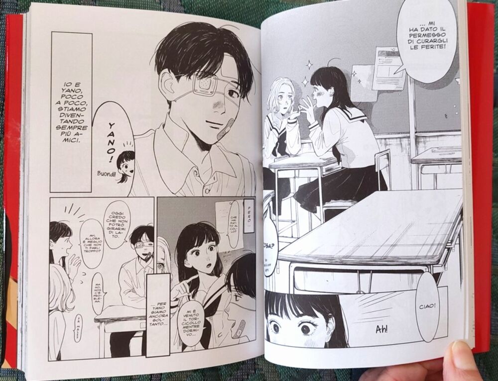 yano poter curare ferite